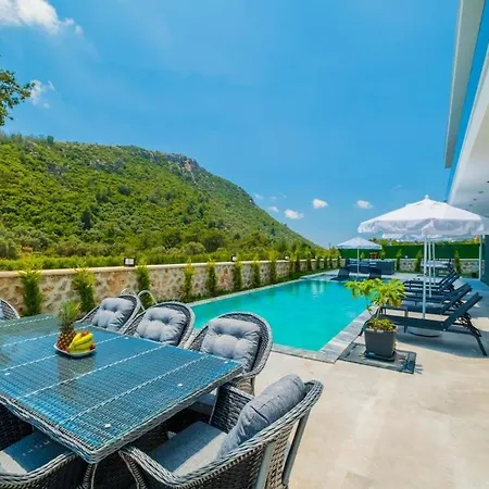 Luxury With Spacious Garden Villa *